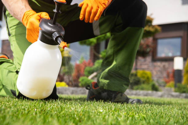 Best Pest Removal Services  in USA